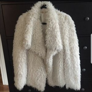 HCo. Shaggy Coat
